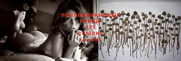 трава Балахна