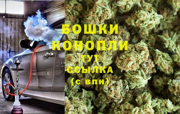 крисы Белоозёрский