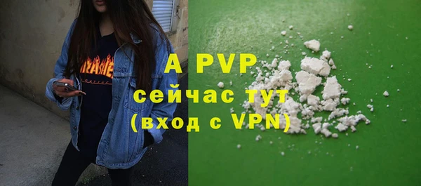 крисы Белоозёрский