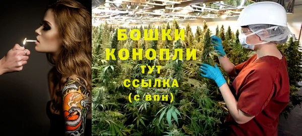 соль ск Белокуриха