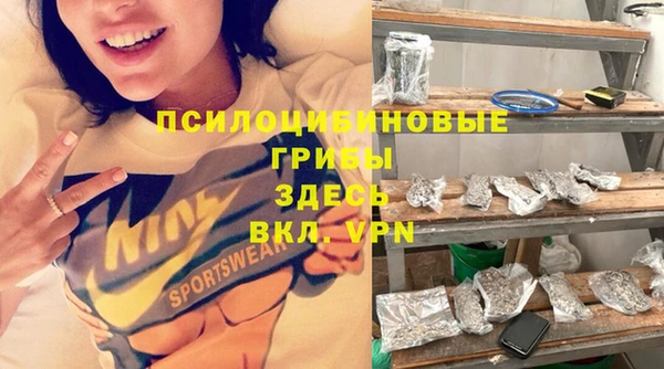 соль ск Белокуриха