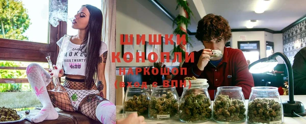 соль ск Белокуриха