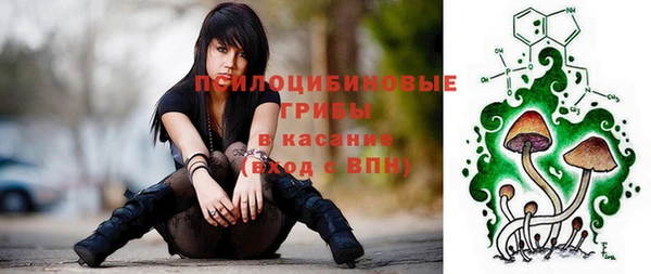 соль ск Белокуриха