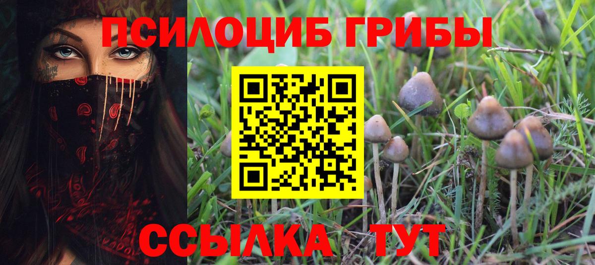 Псилоцибиновые грибы ЛСД Краснокаменск