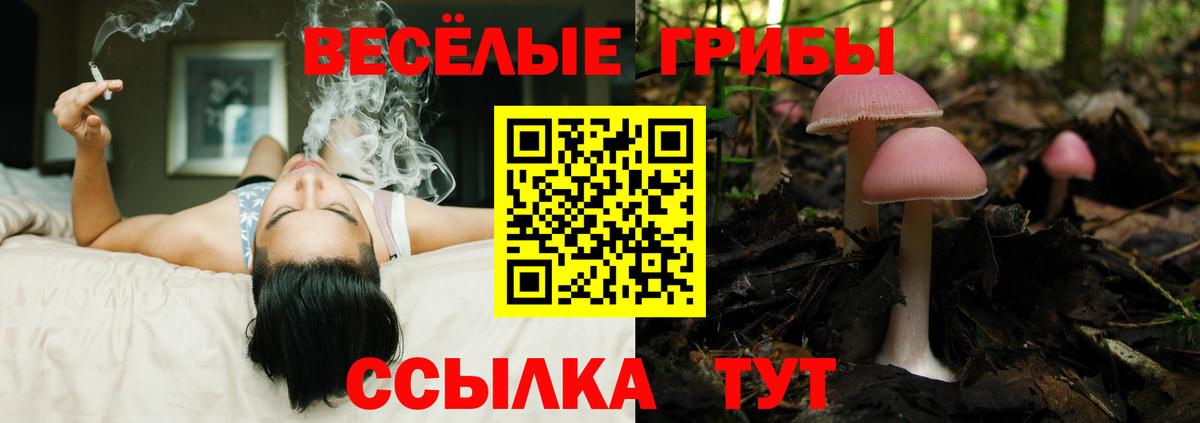 Псилоцибиновые грибы Magic Shrooms  Вход с VPN  Псилоцибиновые грибы мицелий  Краснокаменск 